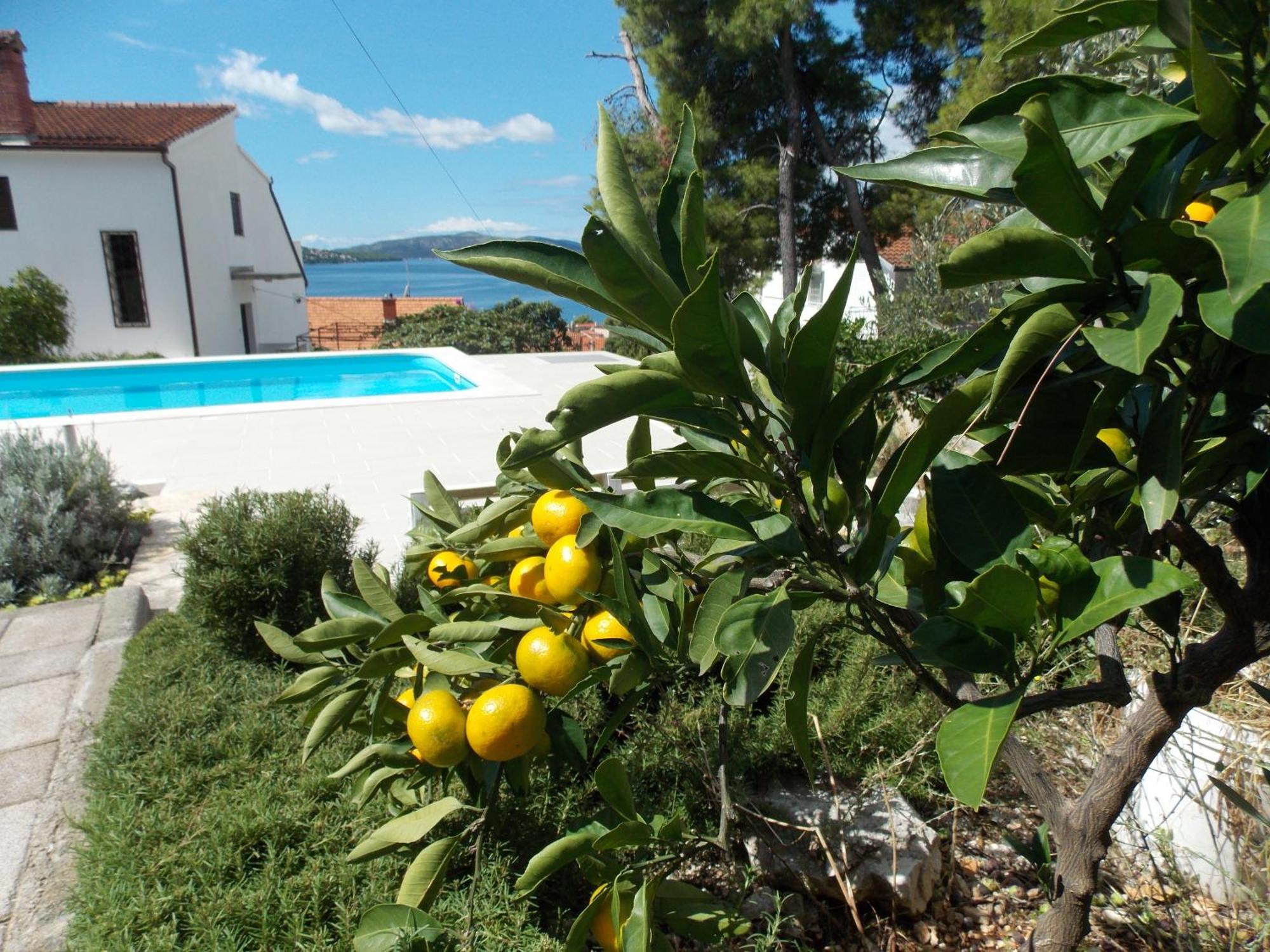 Apartments Villa Goja Trogir Habitación foto
