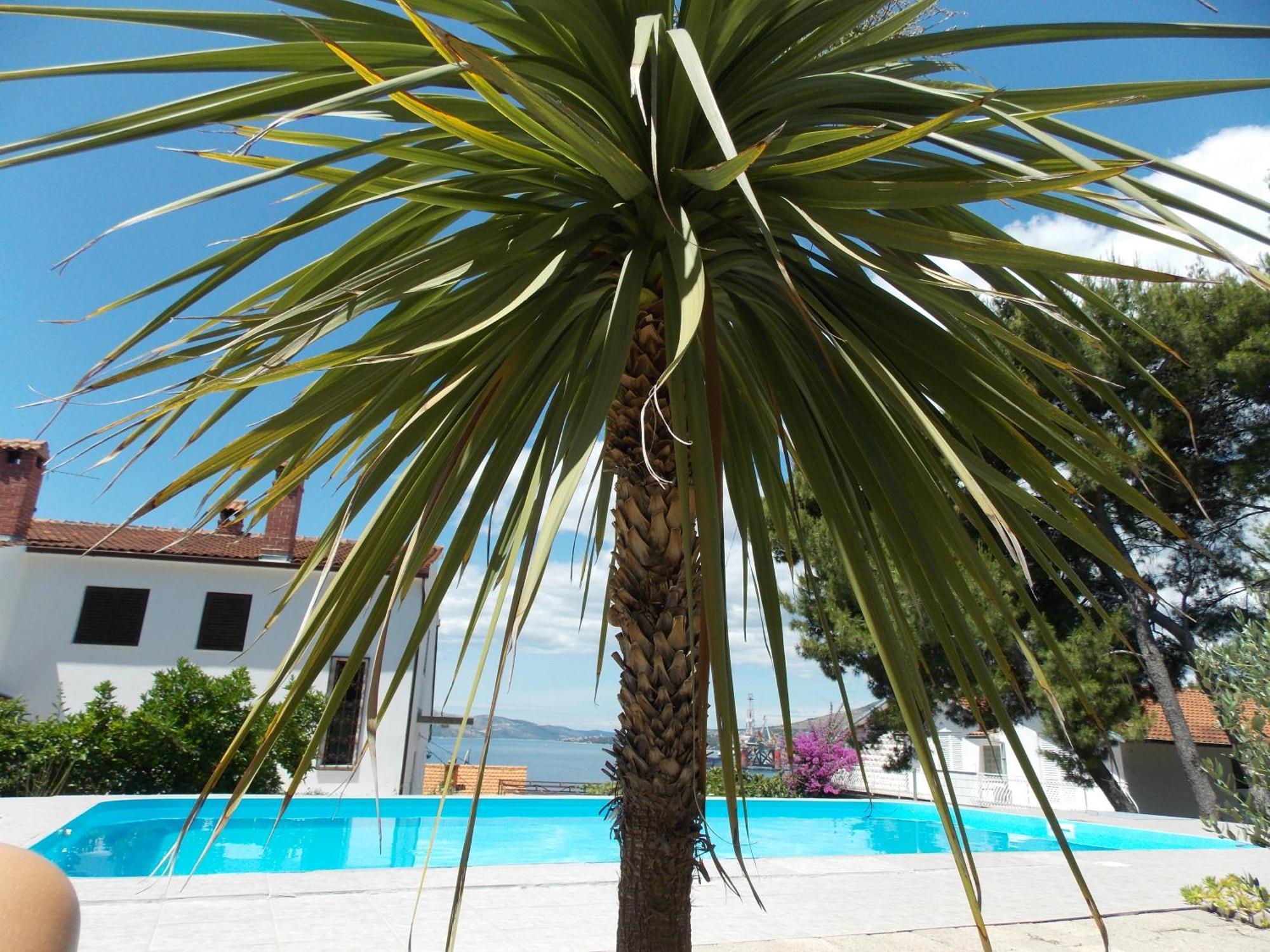 Apartments Villa Goja Trogir Habitación foto