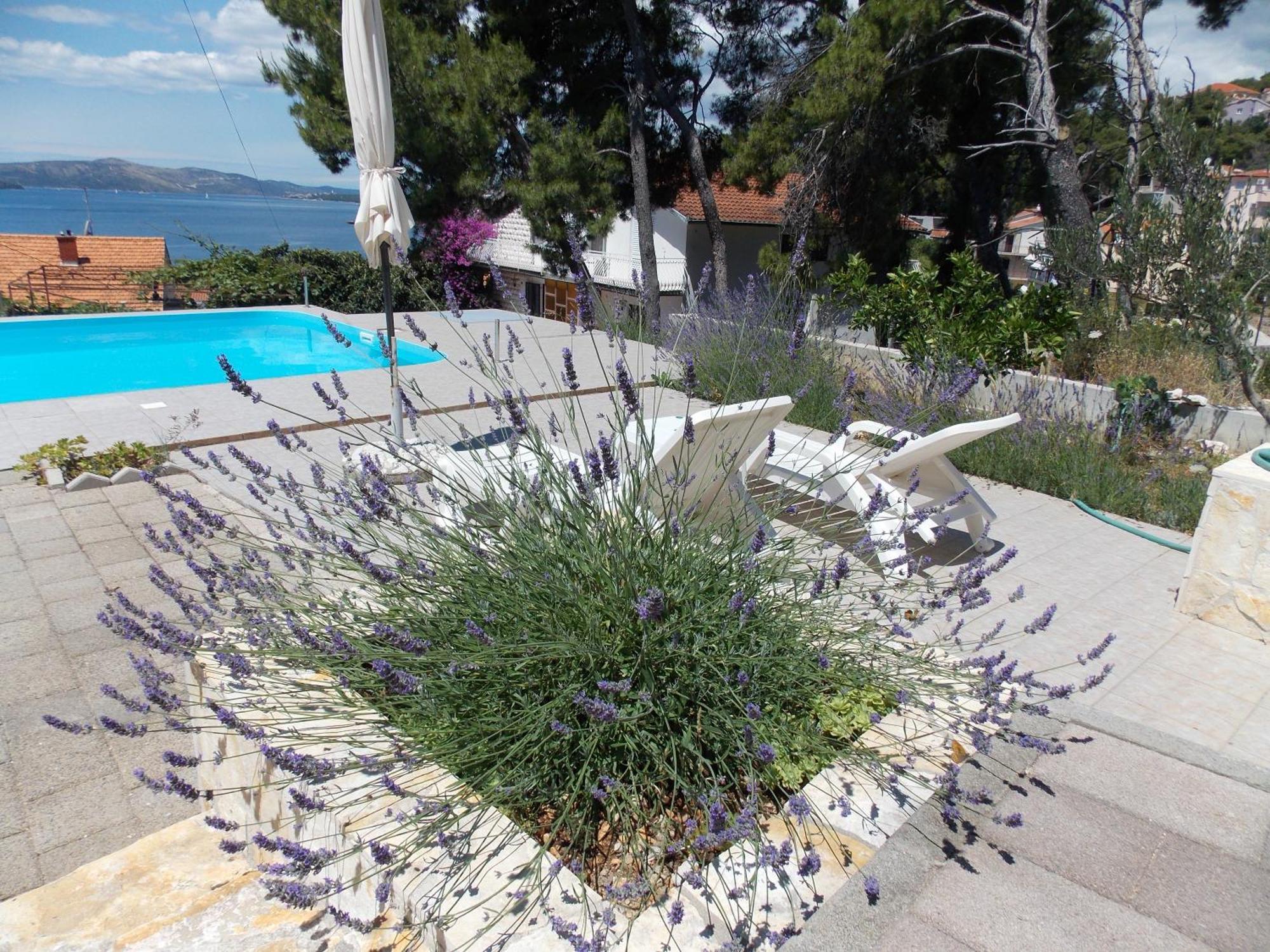 Apartments Villa Goja Trogir Habitación foto
